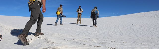 Group Working At White Sands Np