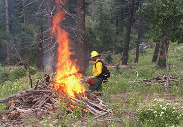 Vfc Fire