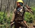 Photo of Matt Hurst